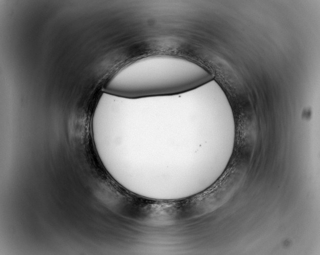 X0000103400172200810100942