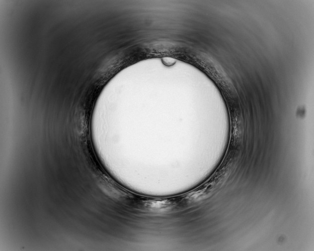 X0000103400173200810100942