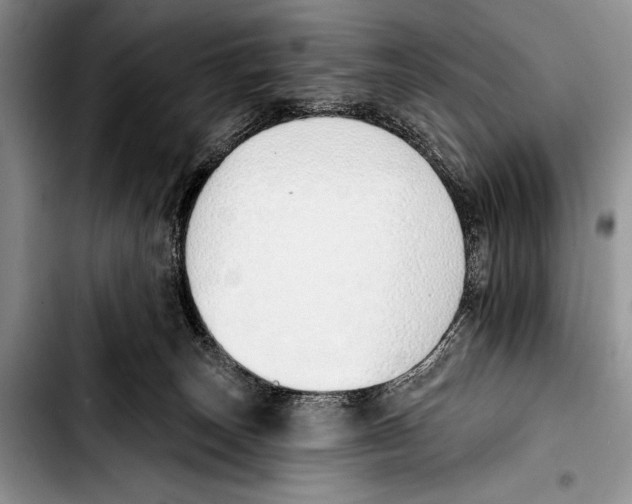 X0000103400179200810100942