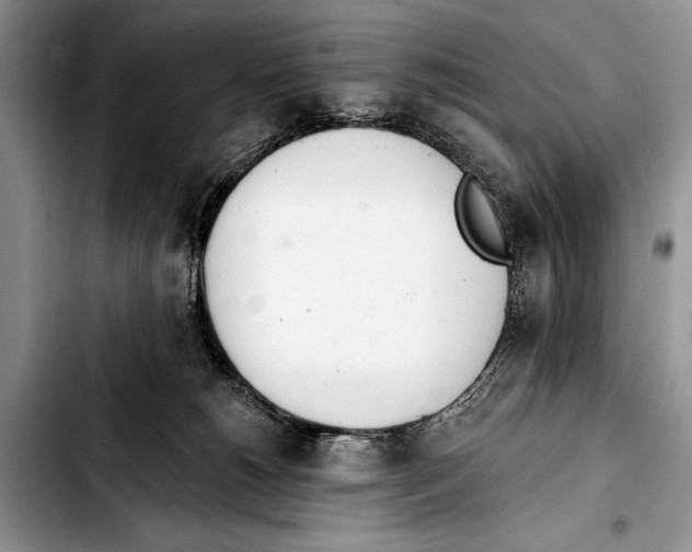 X0000103400180200810100942