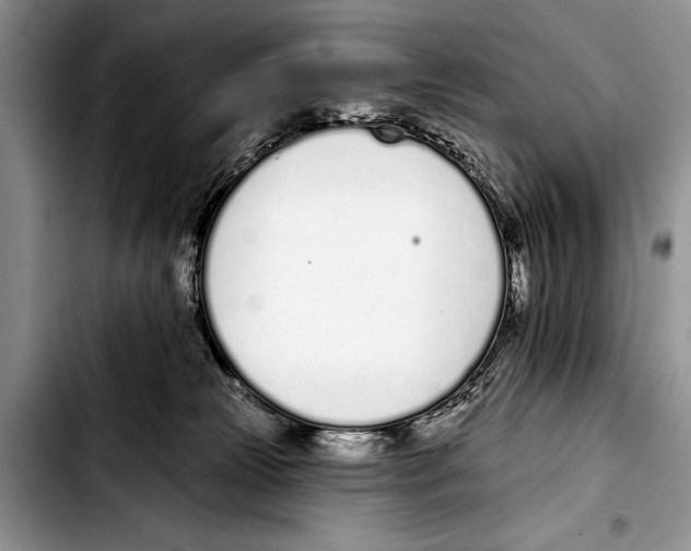 X0000103400181200810100942