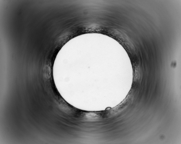 X0000103400183200810100942