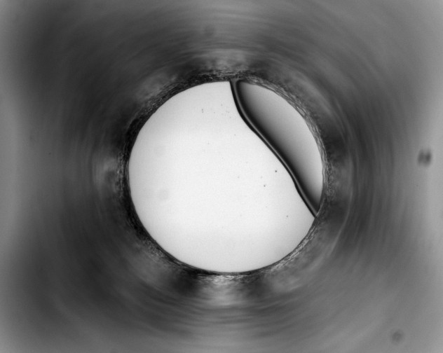 X0000103400184200810100942