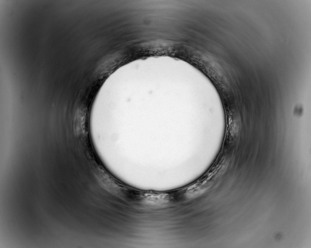 X0000103400185200810100942