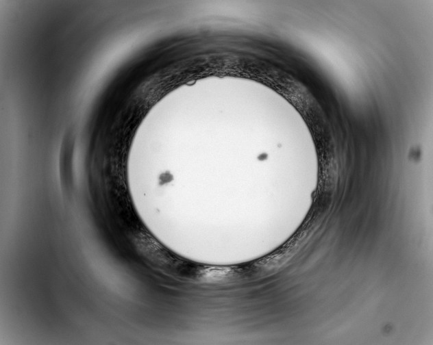 X0000103400189200810100942