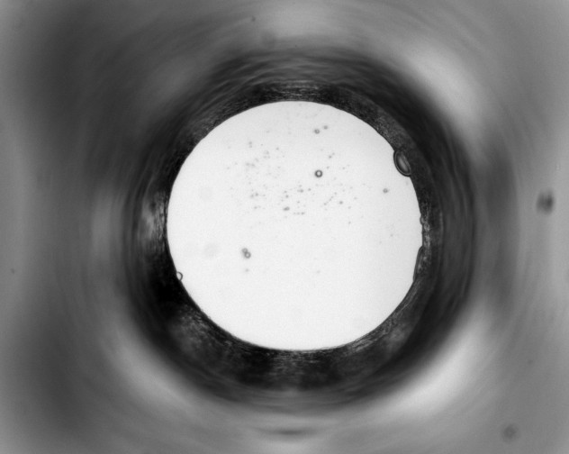 X0000103400190200810100942