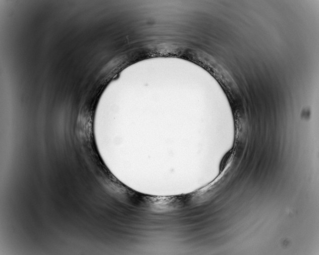 X0000103400191200810100942