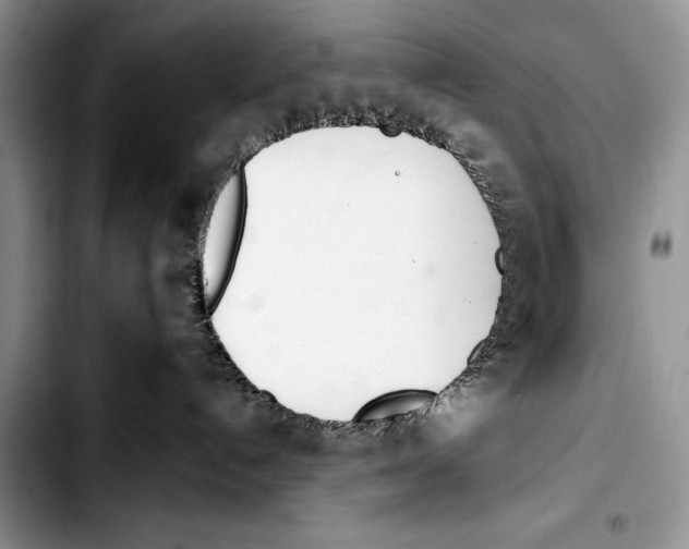 X0000103400192200810100942