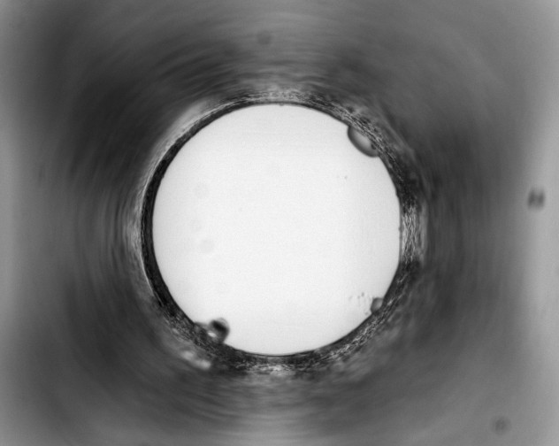 X0000103400195200810100942