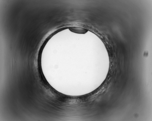 X0000103400200200810100941