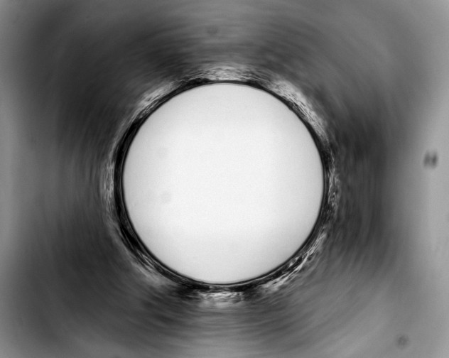 X0000103400202200810100941