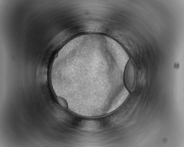 X0000103400205200810100941