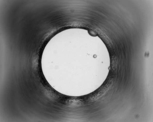 X0000103400208200810100941