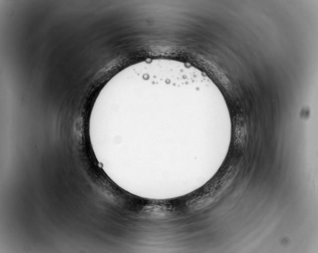 X0000103400211200810100941