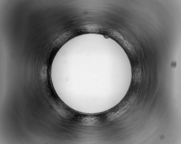 X0000103400213200810100941