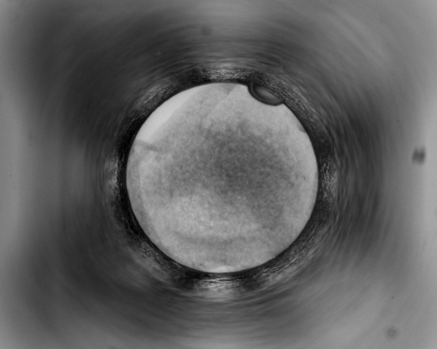 X0000103400219200810100941