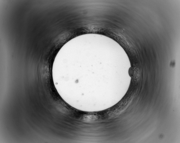 X0000103400220200810100941