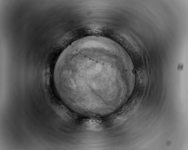 X0000103400223200810100941