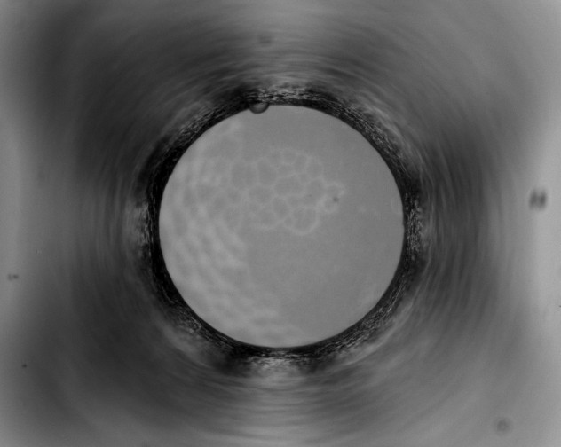 X0000103400224200810100941