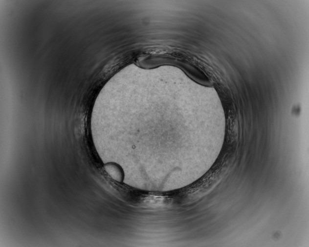 X0000103400227200810100941