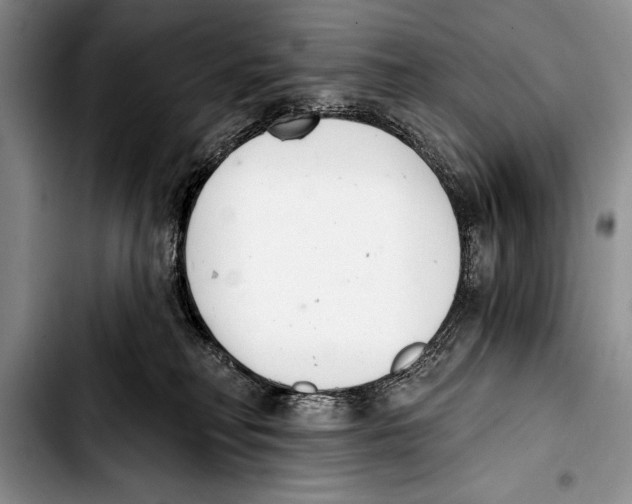 X0000103400230200810100941