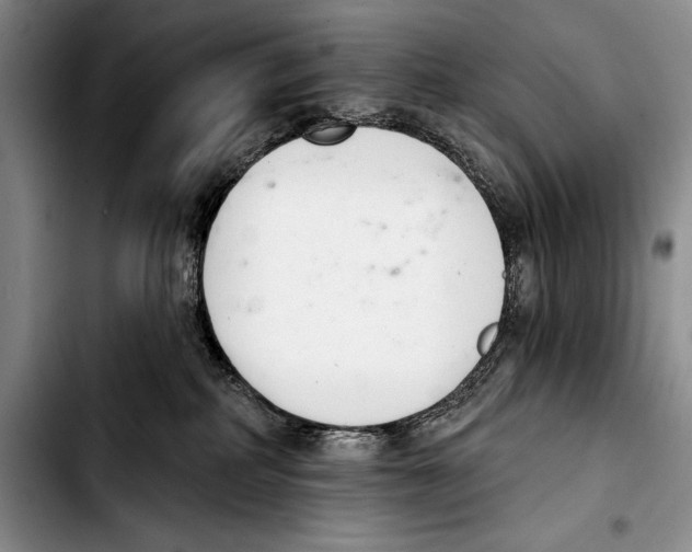 X0000103400234200810100941