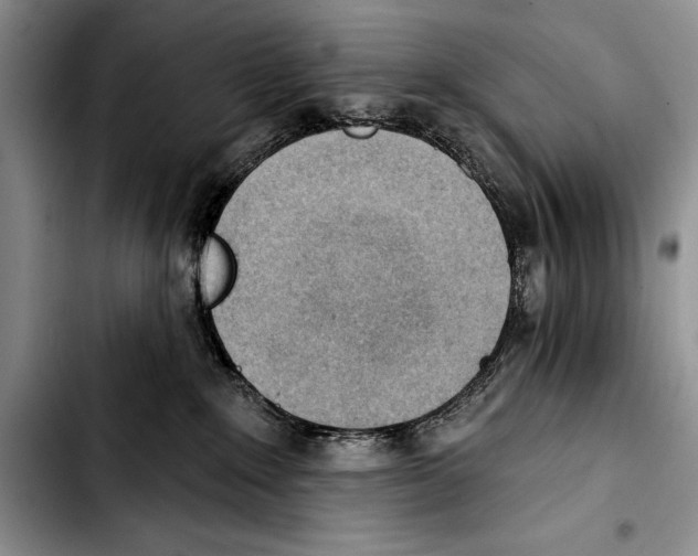 X0000103400235200810100941