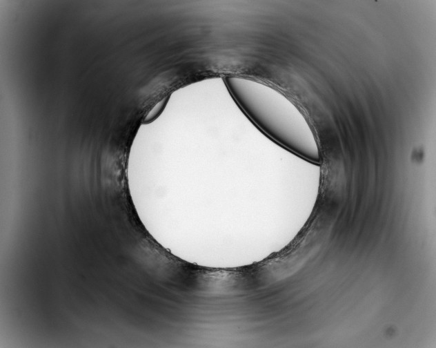 X0000103400237200810100941