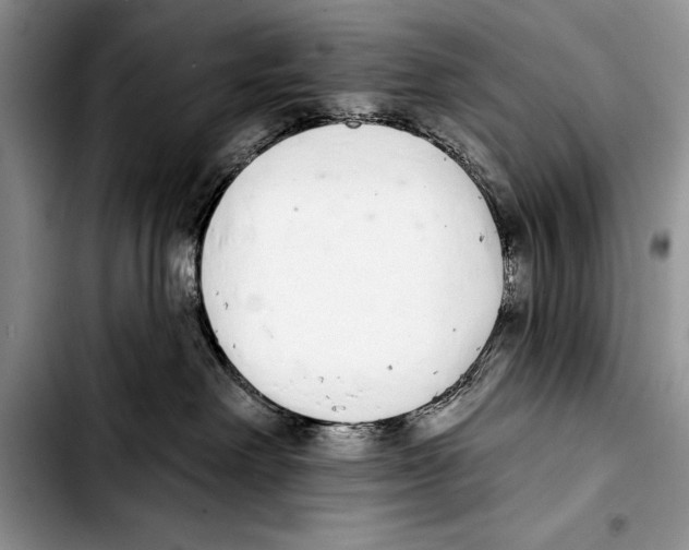 X0000103400238200810100941