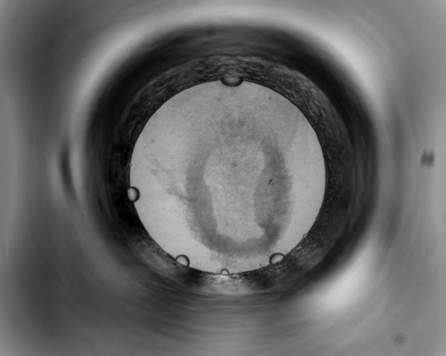 X0000103400239200810100941