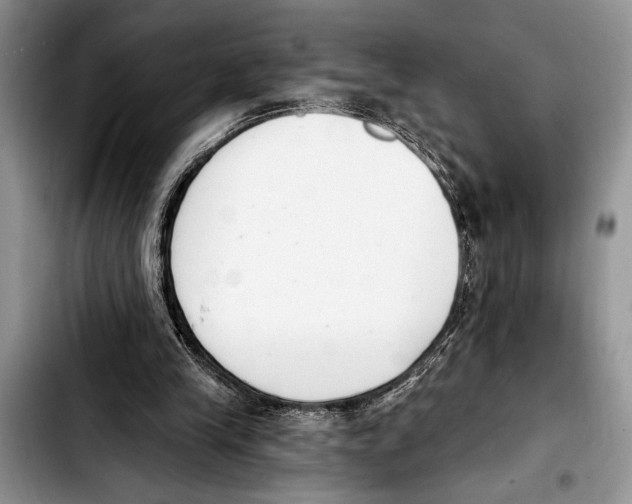 X0000103400245200810100940