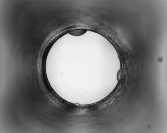 X0000103400247200810100940