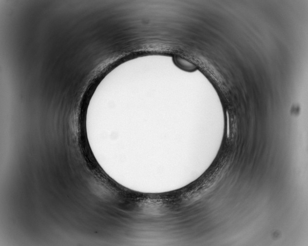 X0000103400252200810100940