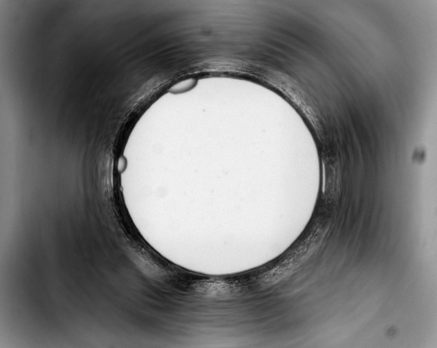 X0000103400253200810100940