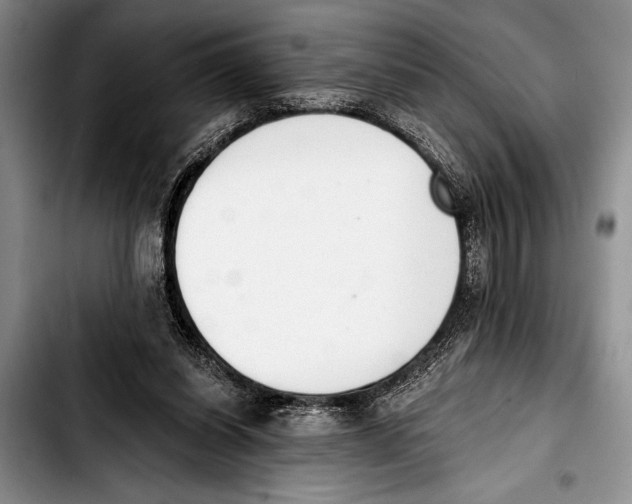 X0000103400254200810100940