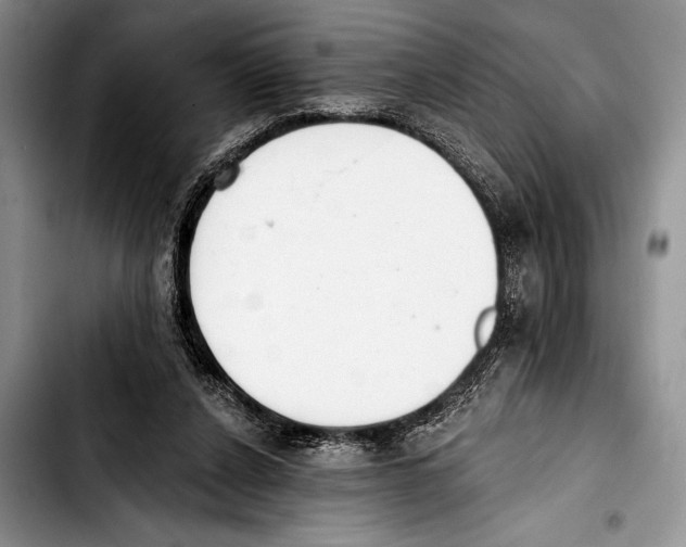 X0000103400256200810100940