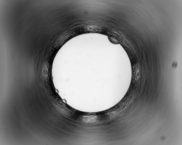 X0000103400266200810100940