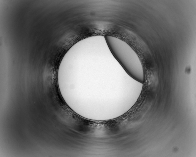 X0000103400276200810100941