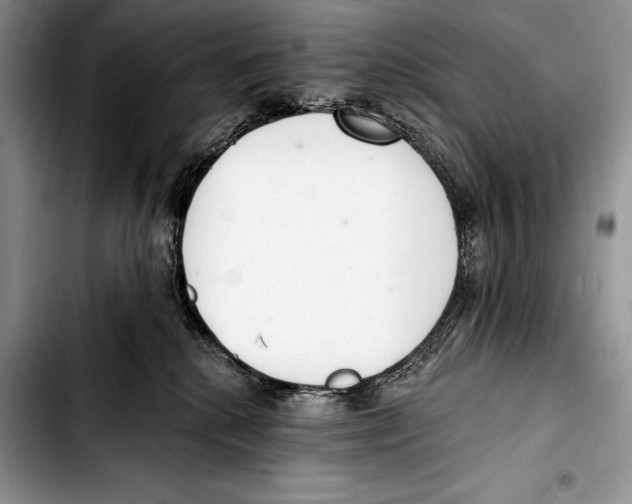 X0000103400280200810100941