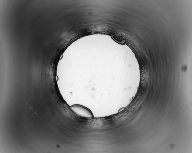 X0000103400282200810100941