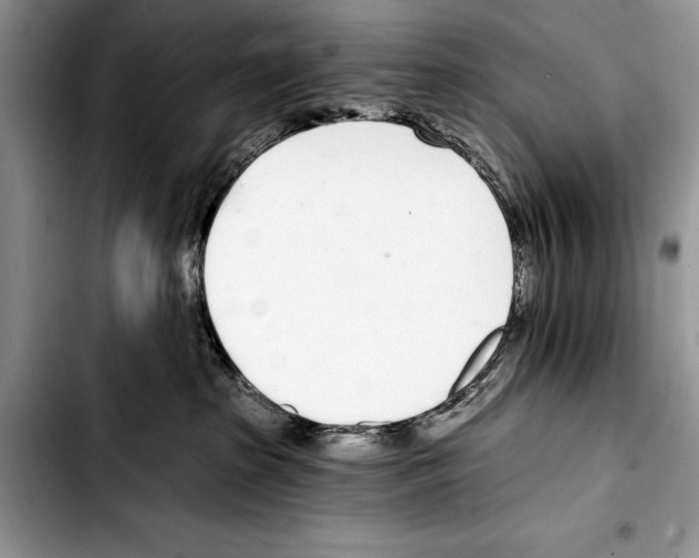 X0000103400285200810100941