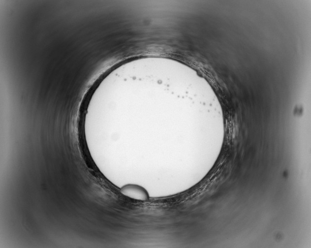 X0000103400292200810100940