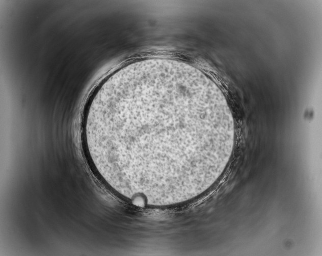 X0000103400293200810100940