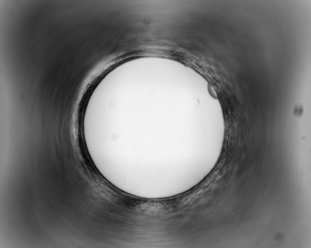 X0000103400294200810100940