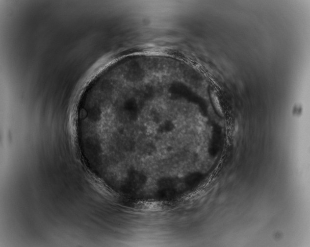 X0000103400295200810100940