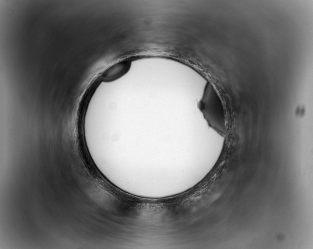 X0000103400296200810100940