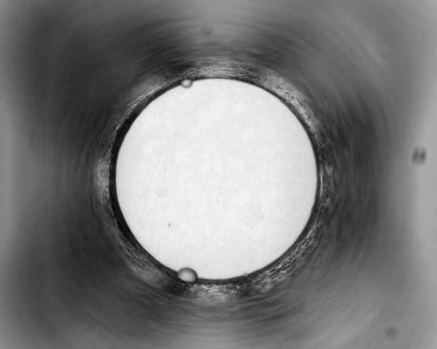 X0000103400297200810100940