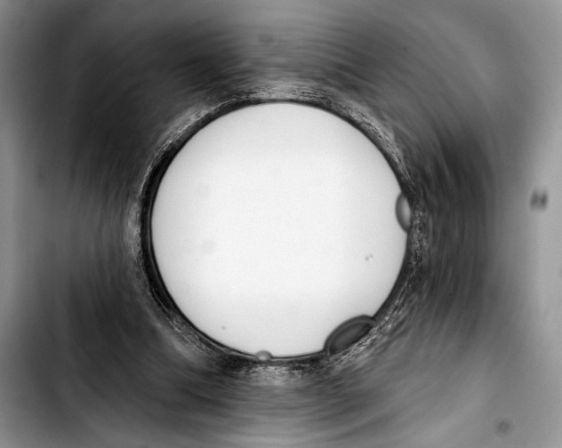 X0000103400298200810100940