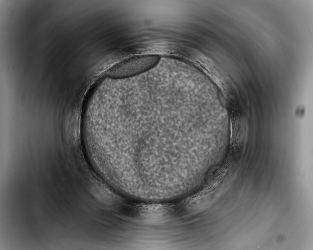 X0000103400301200810100940