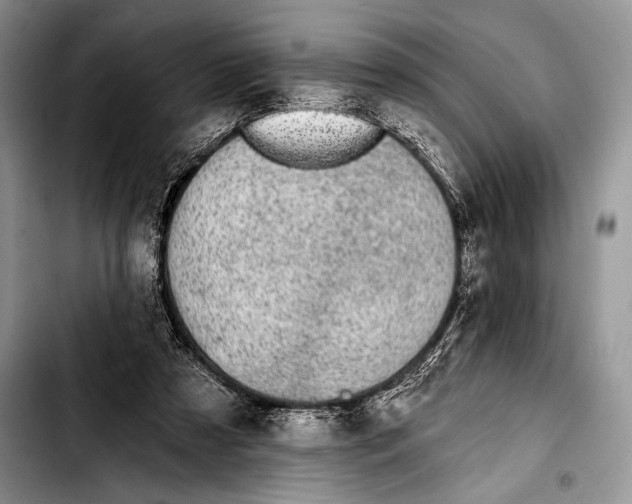 X0000103400305200810100940